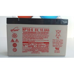 Batterie NP10-6
